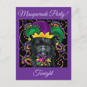 Cartão Postal Affenpinscher