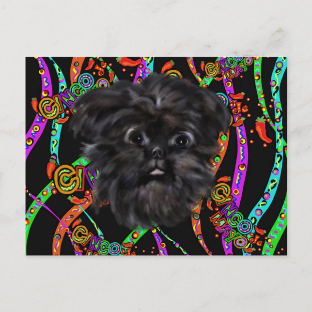 Cartão Postal Affenpinscher (Frente)