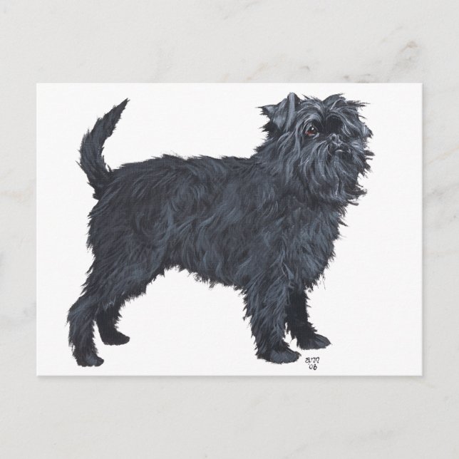 Cartão Postal Affenpinscher (Frente)
