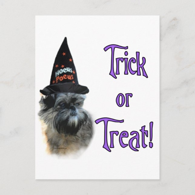 Cartão Postal Affenpinscher Trick (Frente)