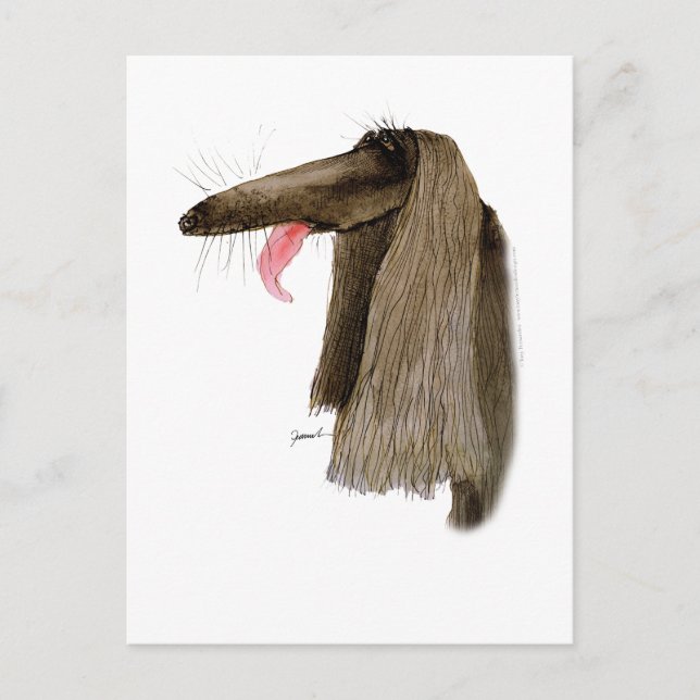 Cartão Postal Afghan Hound, tony fernandes (Frente)