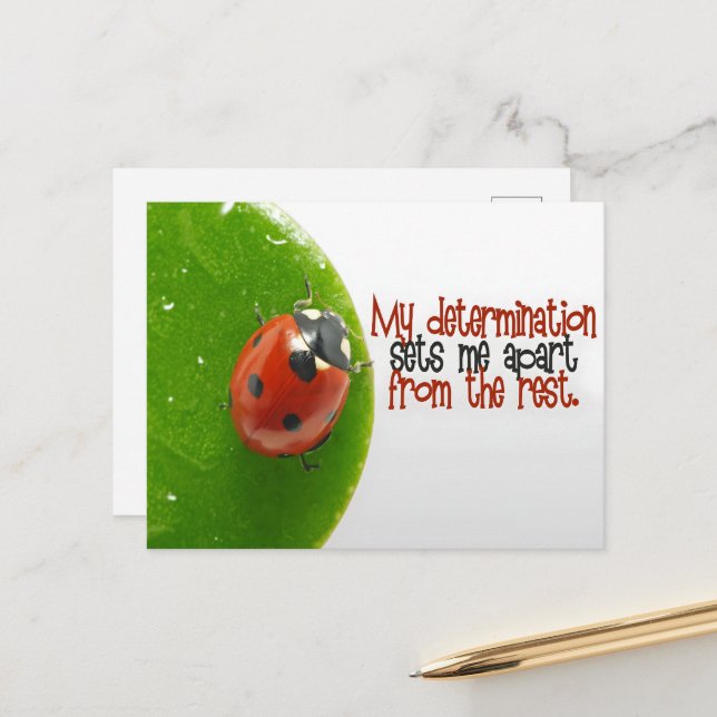 Cartão Postal Afirmação de Motivação "Minha Determinação" (Frente/Verso In Situ)