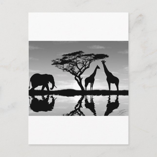 Cartão Postal África (Frente)