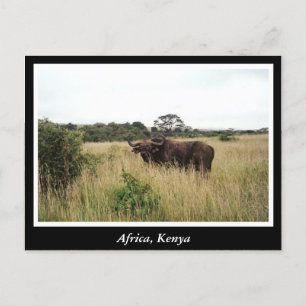 Cartão Postal África Animais selvagens do Quénia