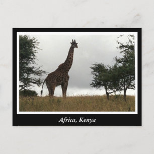 Cartão Postal África Animais selvagens do Quénia