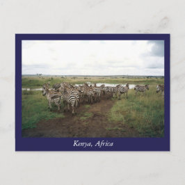 Cartão Postal África Animais selvagens do Quénia