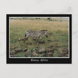 Cartão Postal África Animais selvagens do Quénia