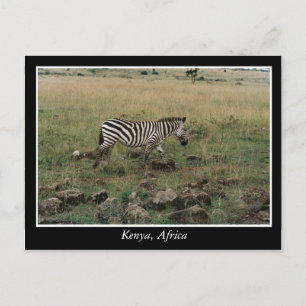 Cartão Postal África Animais selvagens do Quénia