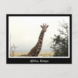 Cartão Postal África Animais selvagens do Quénia