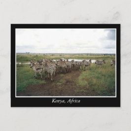 Cartão Postal África Animais selvagens do Quénia