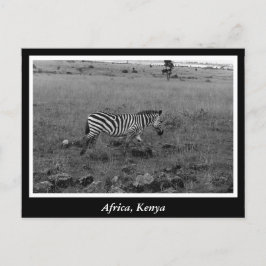 Cartão Postal África Animais selvagens do Quénia
