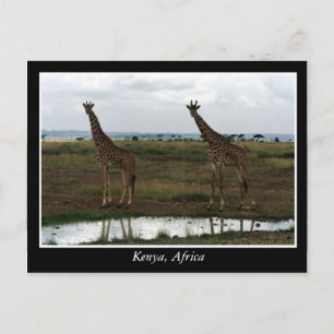 Cartão Postal África Animais selvagens do Quénia