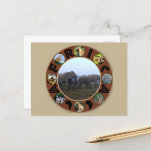 Cartão Postal África, Circulo Selvagem, Elefante Herd Mist