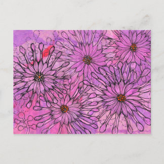 Cartão Postal África Daisy Cape Daisies Flores Rosa Arte Floral