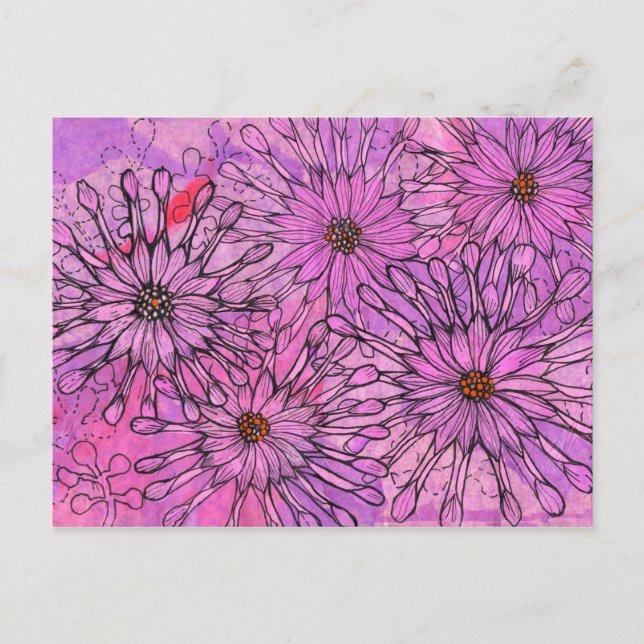 Cartão Postal África Daisy Cape Daisies Flores Rosa Arte Floral (Frente)