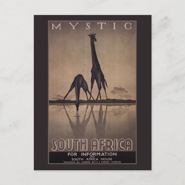 Cartão Postal África do Sul (Frente)