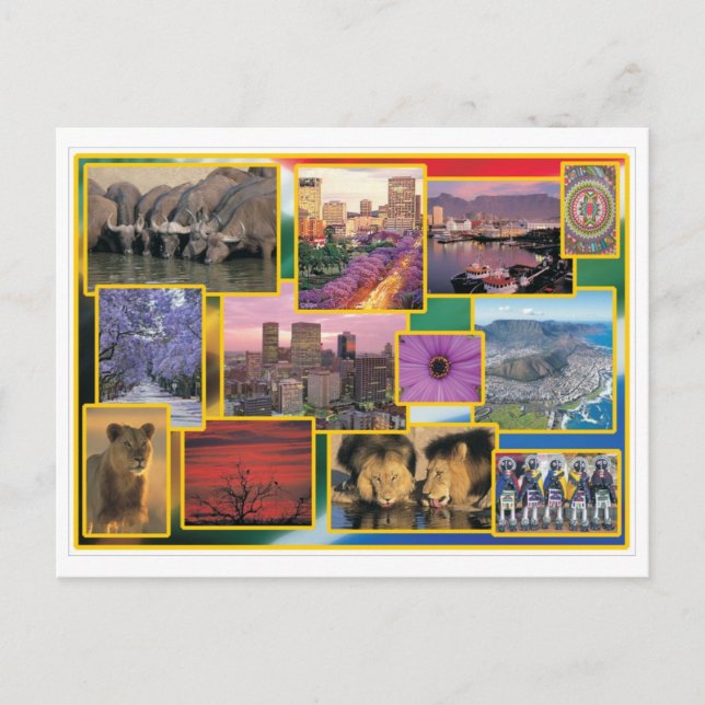 Cartão Postal África do Sul Sunny (Frente)