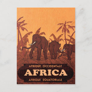Cartão Postal África, Elefantes Africanos em Palmeiras, colheit