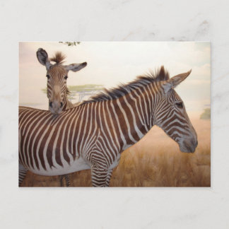 Cartão Postal África - Foto - Zebra