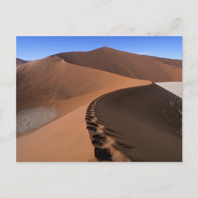 Cartão Postal África, Namíbia, Namib Naukluft National Park, 2 (Frente)