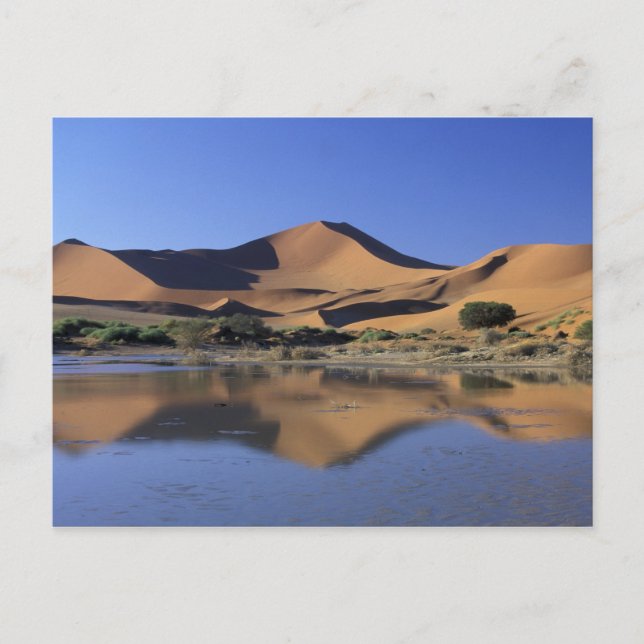 Cartão Postal África, Namíbia, Parque Nacional Namib, Sossusvlei (Frente)
