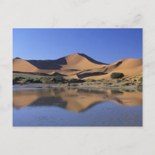 Cartão Postal África, Namíbia, Parque Nacional Namib, Sossusvlei