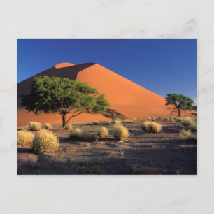 Cartão Postal África, Namíbia, Parque Namibe-Naukluft, Sossosvle