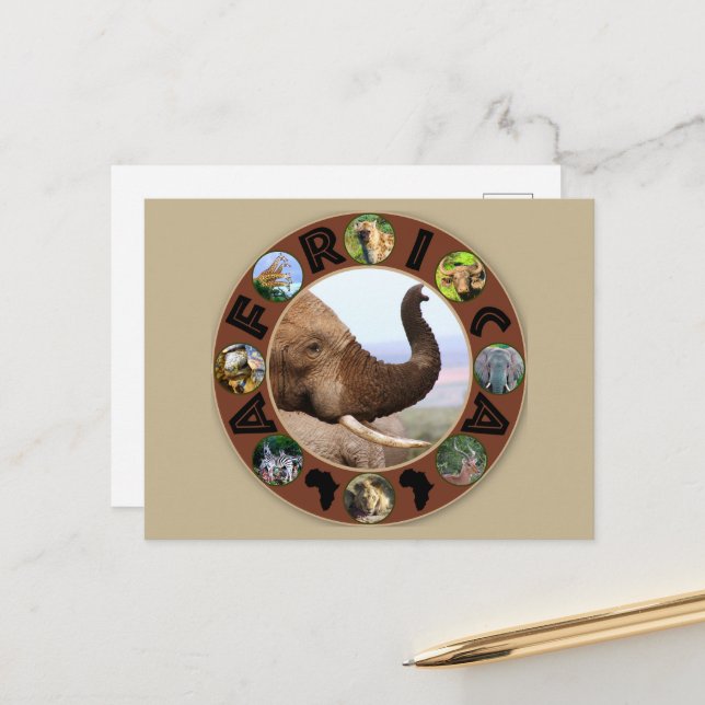 Cartão Postal África Perfumes de Elefantes do Círculo da Vida Se (Frente/Verso In Situ)