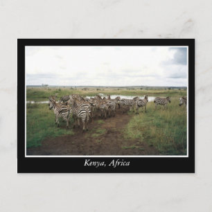 Cartão Postal África Quênia animais selvagens