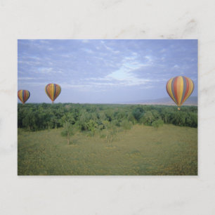 Cartão Postal África, Quênia, Reserva Nacional Masai Mara, 2