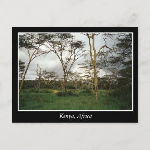 Cartão Postal África Terra selvagem do Quénia