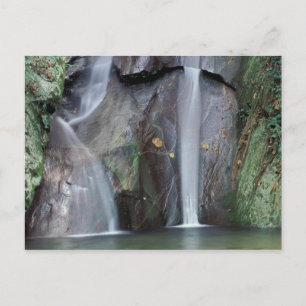 Cartão Postal África, Uganda, floresta impenetrável de Bwindi,