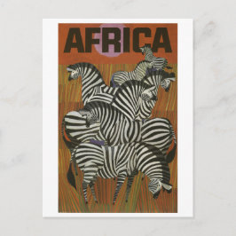 Cartão Postal África, Zebra Africana, Savana, viagem vintage