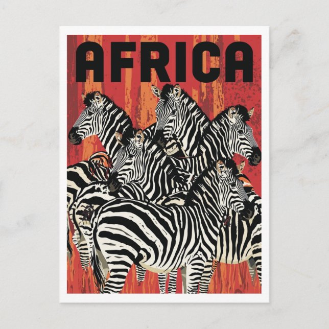 Cartão Postal Africa Zebra Safari Vintage Art (Frente)