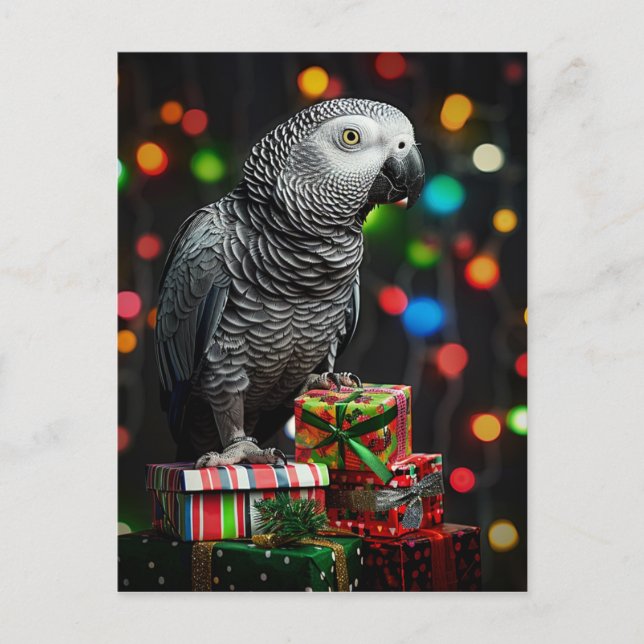 Cartão Postal African Grey on Gifts — Festive Greeting Card (Frente)