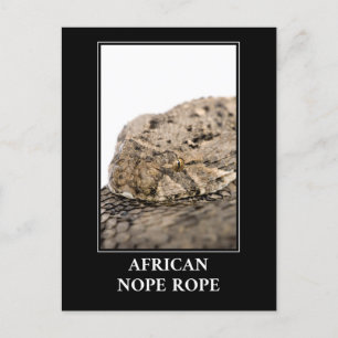 Cartão Postal African Nope Rope - Puff adder Cobra Danger