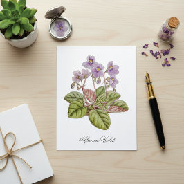 Cartão Postal African Violet Curtis Botanical