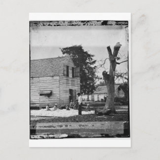 Cartão Postal Afro-americanos preparando algodão cerca de 1862