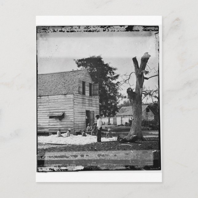 Cartão Postal Afro-americanos preparando algodão cerca de 1862 (Frente)