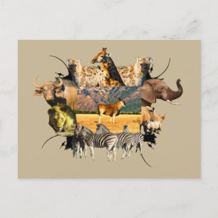 Cartão Postal Afro da Vida Selvagem da Terra Montanha