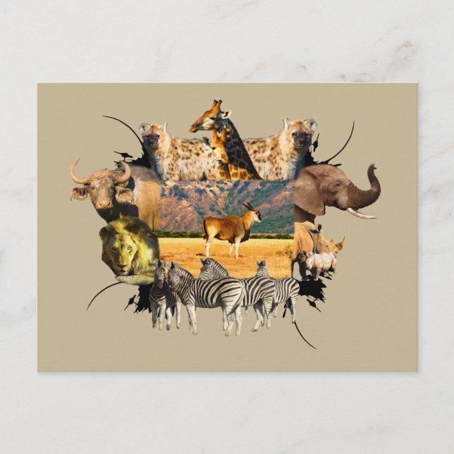 Cartão Postal Afro da Vida Selvagem da Terra Montanha (Frente)