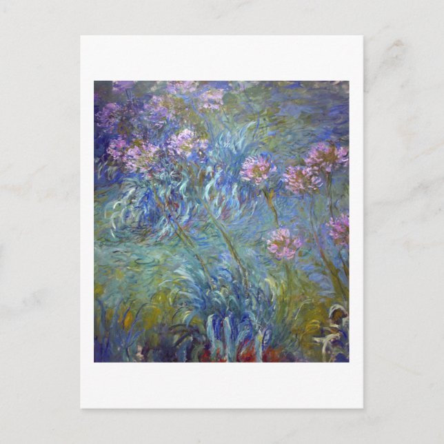 Cartão Postal Agapanthus, Monet (Frente)