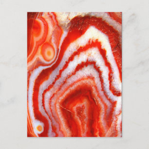 Cartão Postal Agato Laranja De Sangue Desbatido