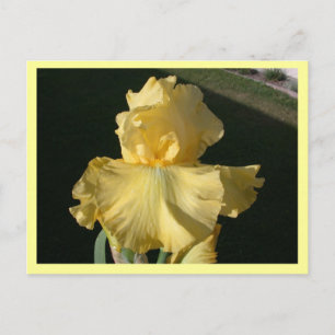 Cartão Postal Agente Duplo