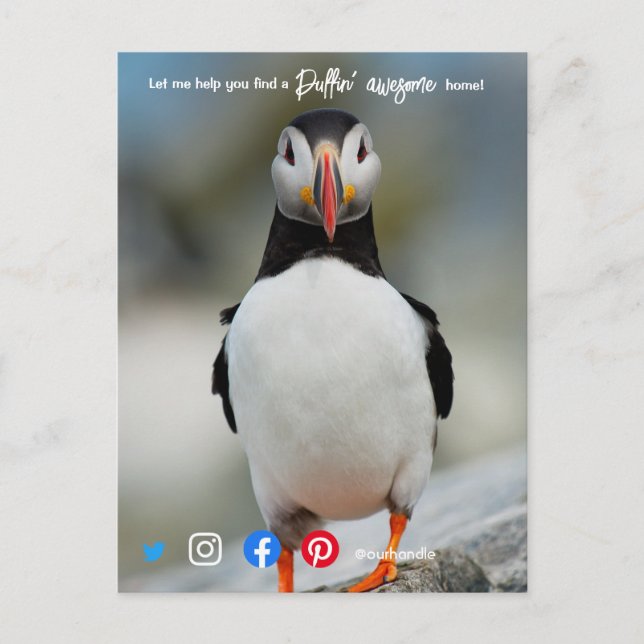Cartão Postal agente imobiliário puffin incrível marketing postc (Frente)