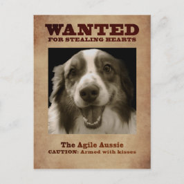 Cartão Postal Agile Aussie