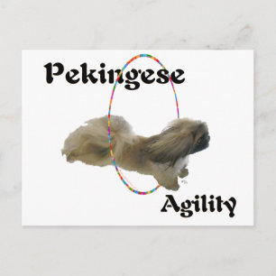 Cartão Postal Agilidade Pekingese