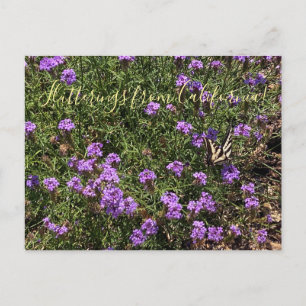 Cartão Postal Agitações da Califórnia: De La Mina Verbena