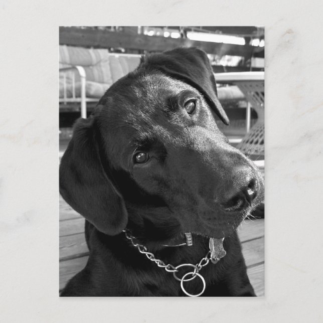 Cartão Postal Agora que tenho sua atenção... (Frente)