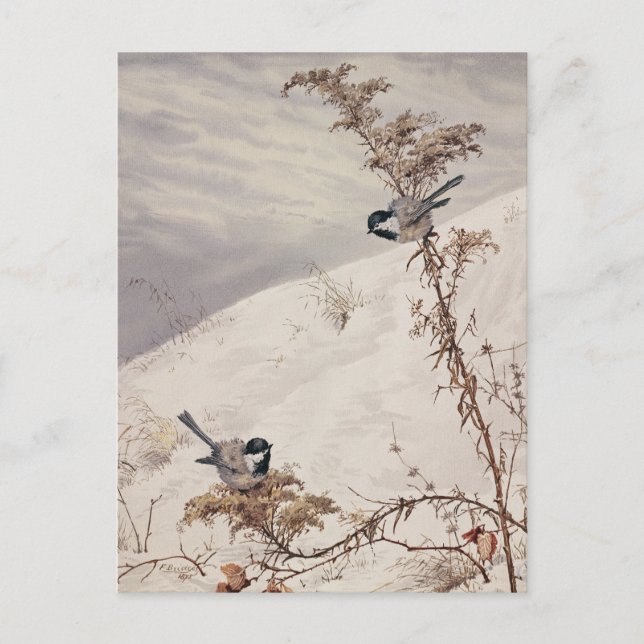 Cartão Postal agosto | Fidelia Bridges (Frente)